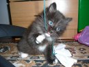 Фотография Климовича Антона