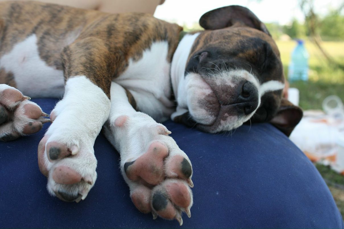 Кирилл Митяев фотография #31