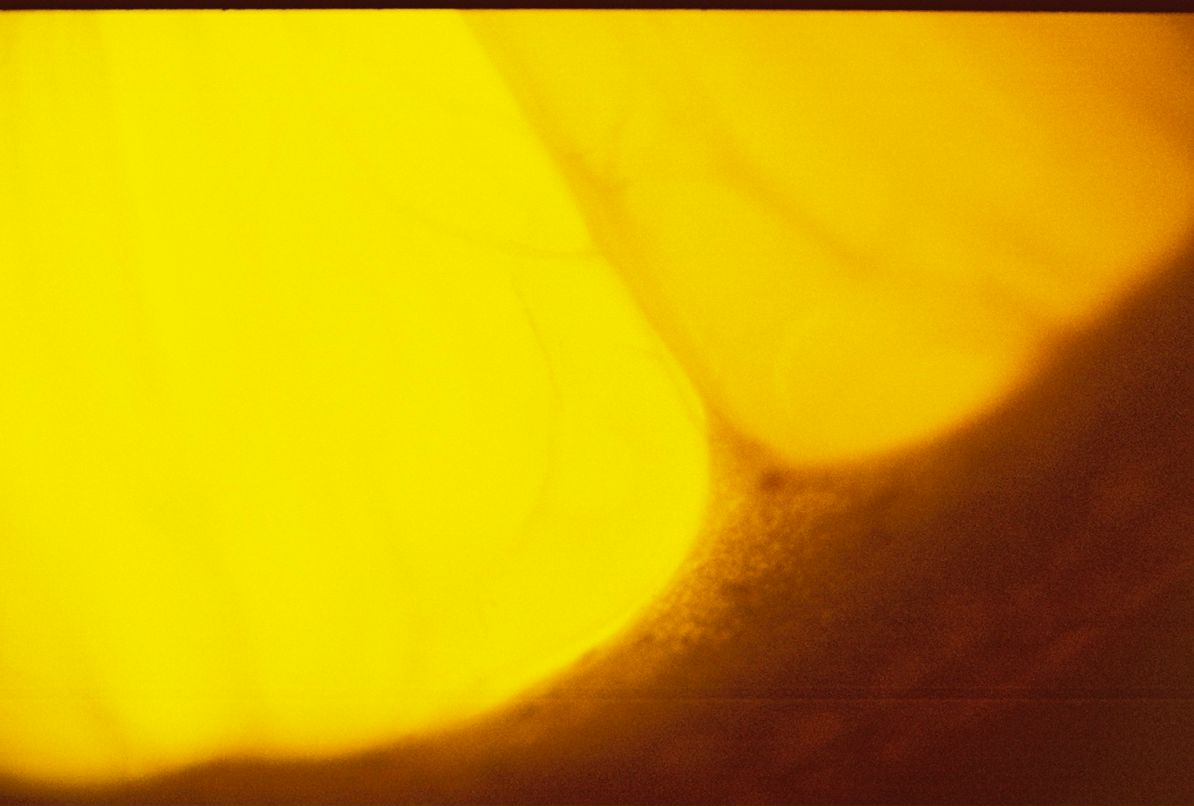 Аф Аф фотография #37