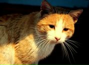 Фотография Анискиной Миланы