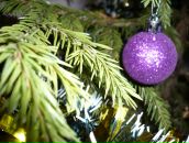 Фотография Главинской Зои