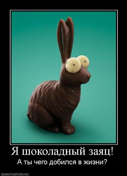 №5, Степан Осипов, 36 лет, Ярославль №5, Степан Осипов, 36 лет, Ярославль