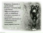 Фотография Серебренниковой Ольги