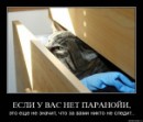 Фотография Зенцовой Яны
