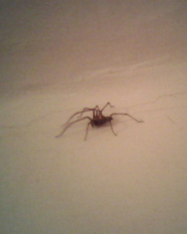 Сергей Бех фотография #20