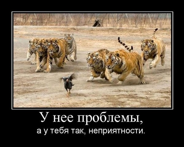 №10, Эльчин Аббасов, Санкт-Петербург, Россия №10, Эльчин Аббасов, Санкт-Петербург, Россия