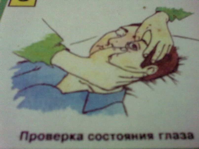 Дмитрий Гинель фотография #46