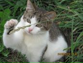 Фотография Барановой Дарьи