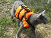 Константин Скрылев фотография #20 (источник - https://vk.com/id1992572)