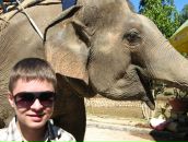 Фотография Anisimov Anderas