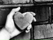 Фотография Болотовой Ольги