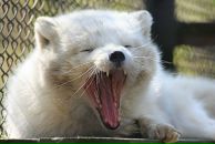 Фотография Антиповой Людмилы