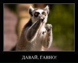 Фотография Маркелова Виктора