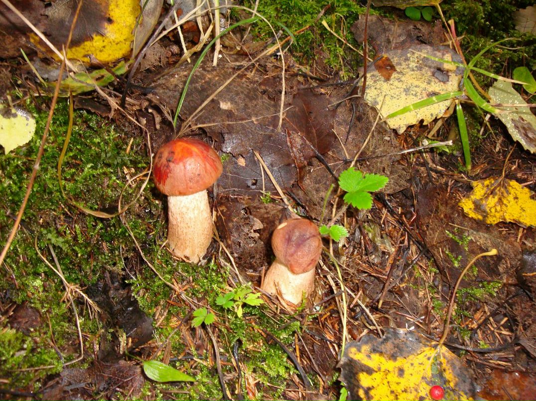 Эмма Кубло фотография #28