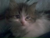 Фотография Рублёва Андрея