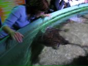 Ірина Сурженко фотография #50 (источник - https://vk.com/id6471667)