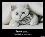 Фотография Симоновой Дарьи