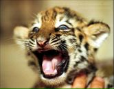 Фотография Зубаревича Андрея