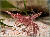 Фотография Светланы Светланы