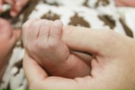 Фотография Поморцевой Светланы