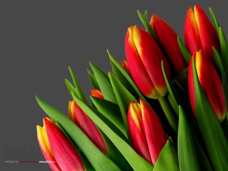 Victoria Bry фотография #15