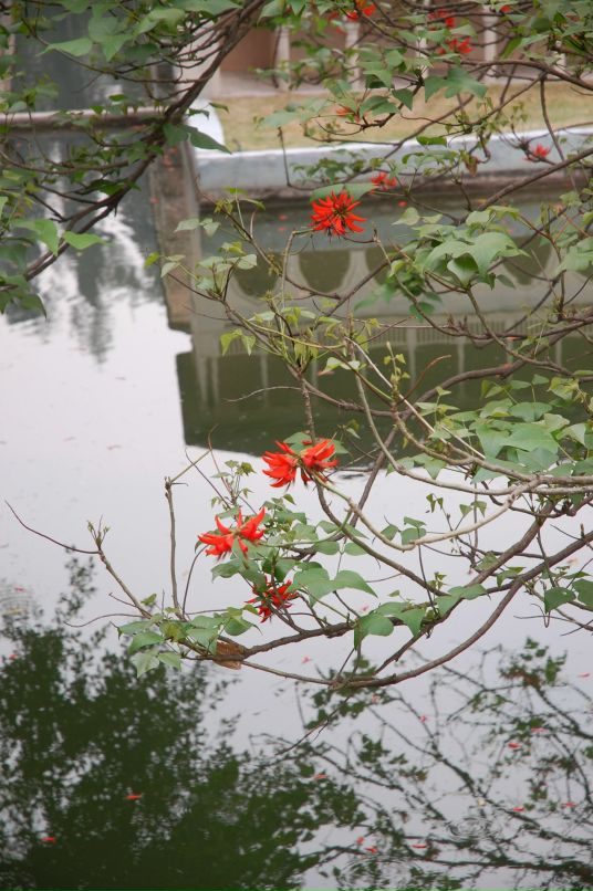 Антон Постников фотография #35