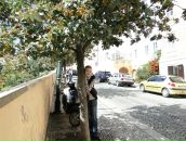 Фотография Масюк Настюшки