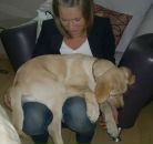 Фотография Trofimova Elvira