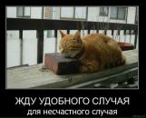 Федір Бевзо фотография #48 (источник - https://vk.com/id3691370)