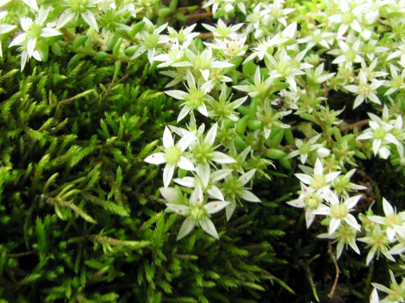 Дмитрий Волосников фотография #38