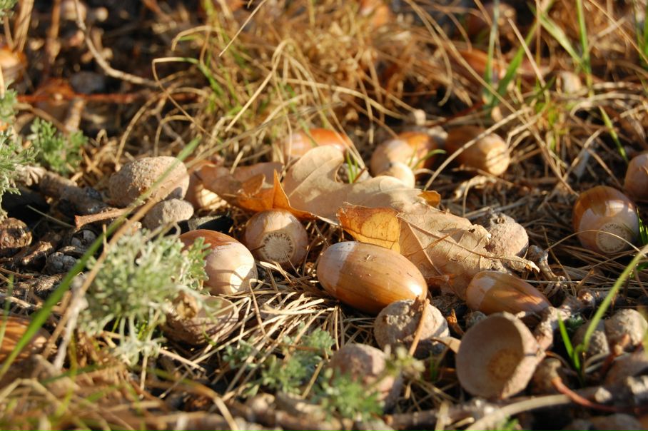 Михаил Яковлев фото №14