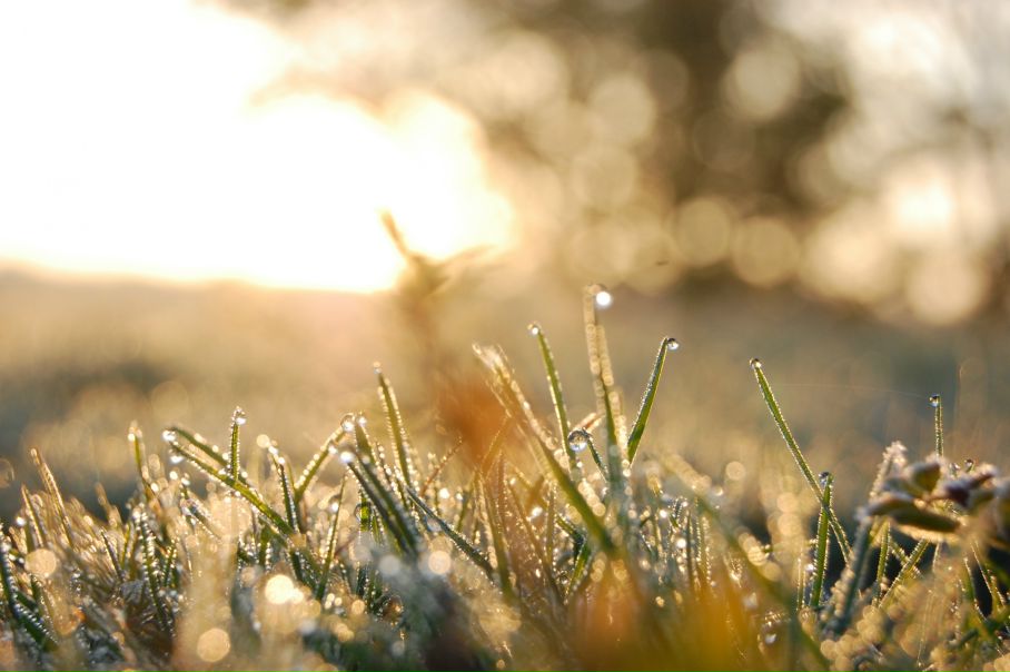 Михаил Яковлев фото №19