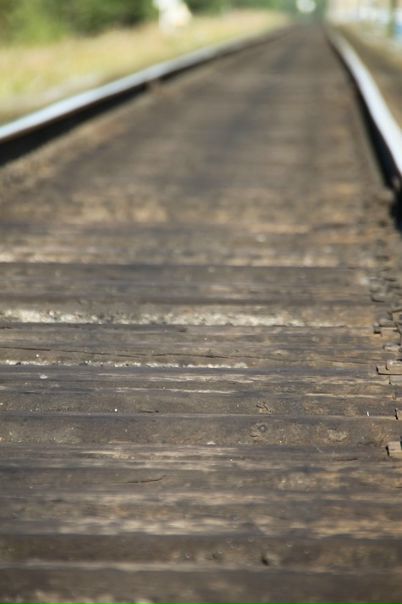 Дмитрий Кушкин фото №9