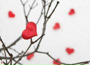 Фотография Морозовой Елены