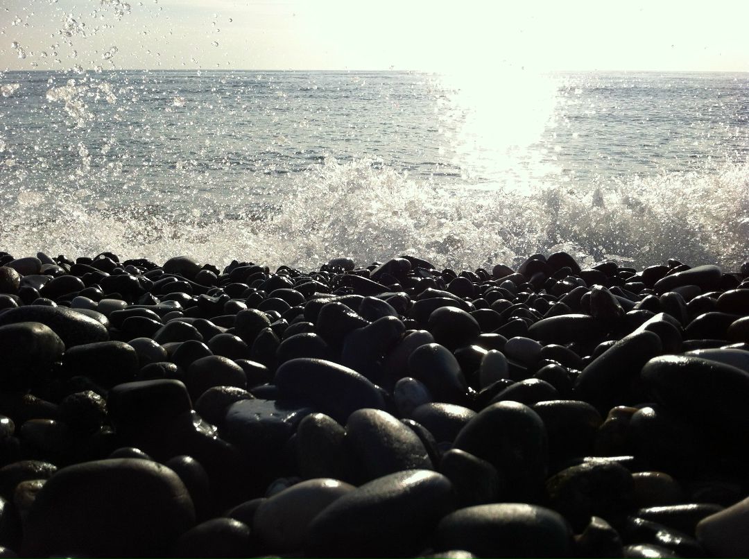 Дарья Потрепалова фотография #24