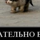 Марія Юськевич фотография #26 (источник - https://vk.com/id76562134)