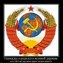 Фотография Чебурята Ясира