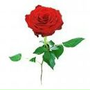 Ігор Здирко фотография #1