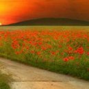 Марічка Билинь фотография #20 (источник - https://vk.com/id13386712)