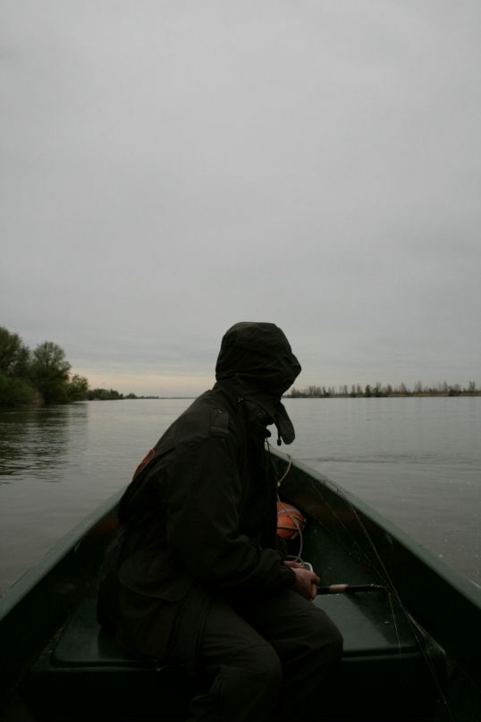 Борис Елисеев фотография #18