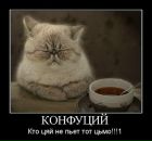 Фотография Данилова Алексея