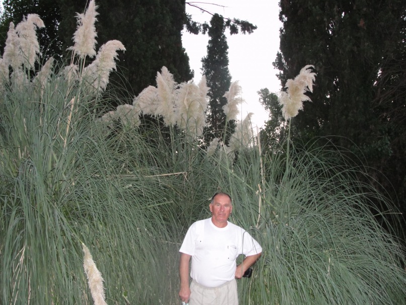 Владимир Горох фотография #26