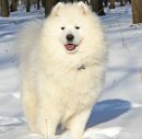 Саша Андріанов фотография #2 (источник - https://vk.com/id172955817)