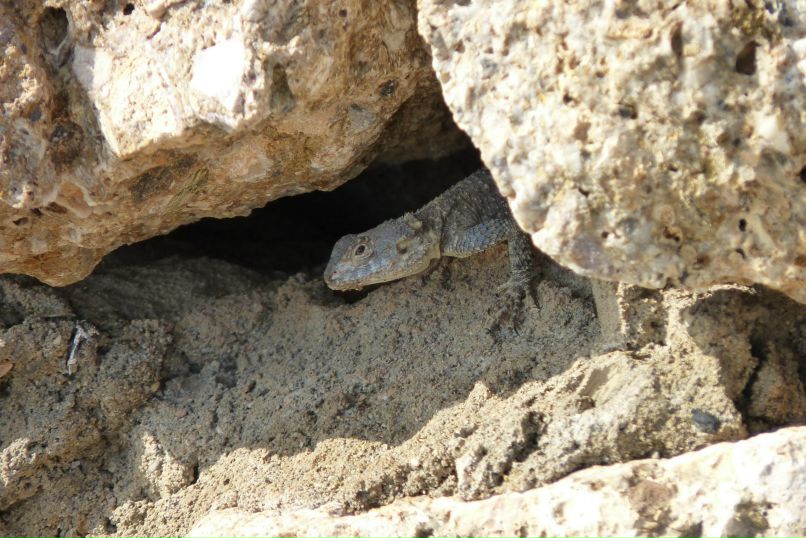 Михаил Грачев фотография #10