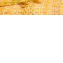 Катя Ходаківська фотография #44 (источник - https://vk.com/id141582298)