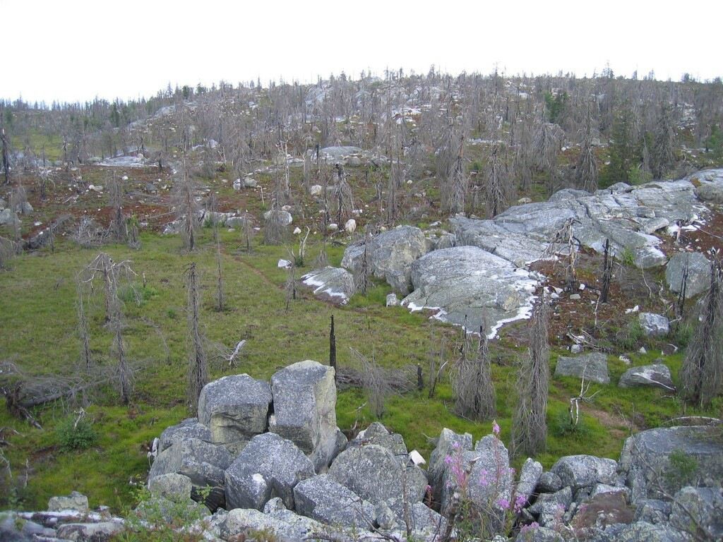 Иван Паньков фотография #38