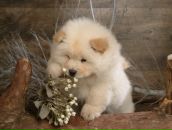 Фотография Вебер Натальи