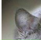 Андрій Васютин фотография #23 (источник - https://vk.com/id17618279)