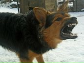 Міша Мостовий фотография #4 (источник - https://vk.com/id9774171)