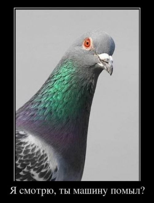 Константин Худолеев фотография #23